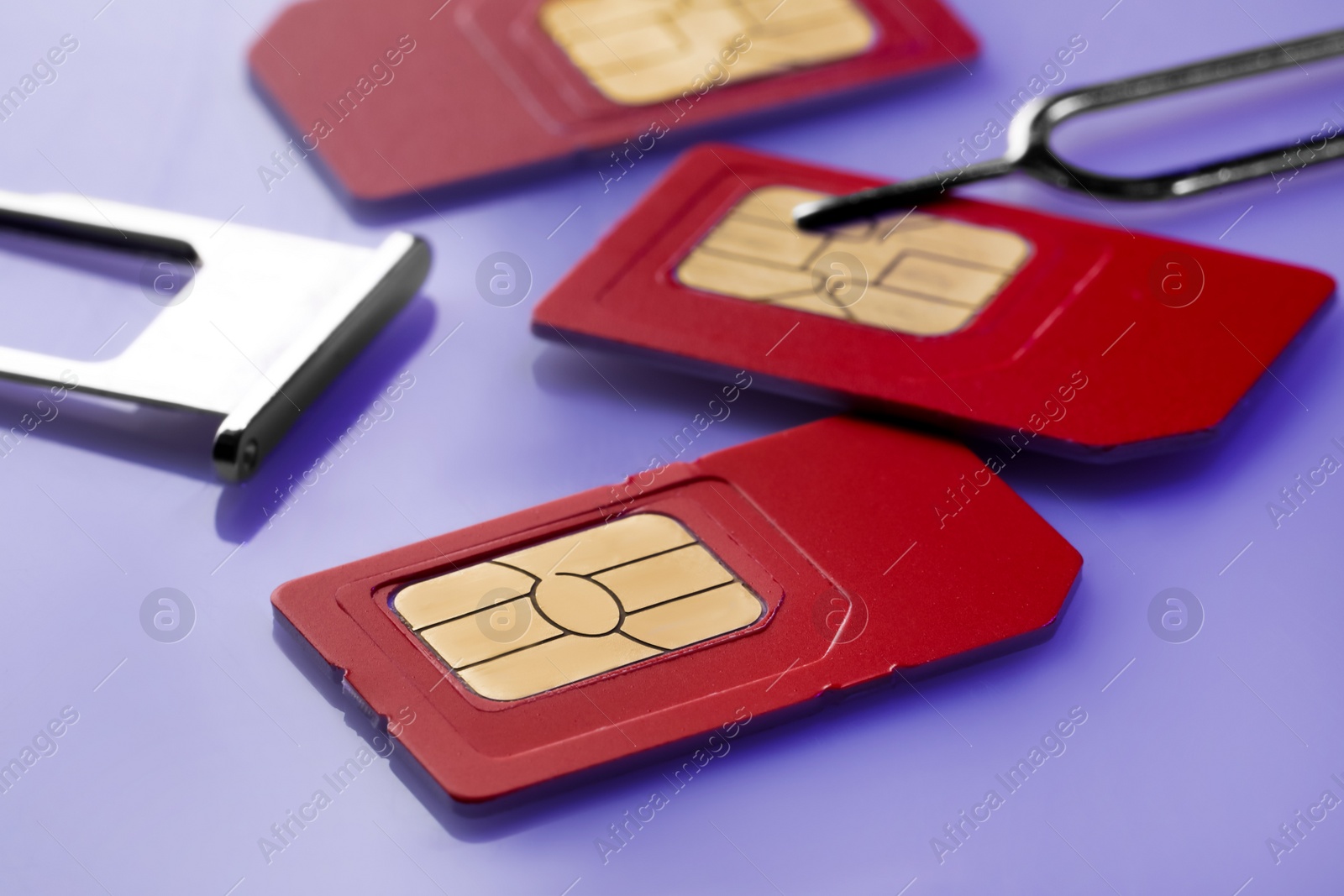 Photo of SIM cards, tray and ejector on violet background, closeup