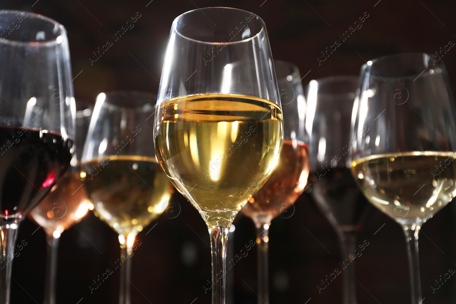 Photo of Different tasty wines in glasses against blurred background, low angle view