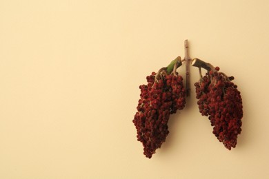 Photo of Human lungs made of sumac on beige background, flat lay. Space for text