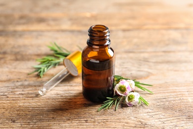 Bottle of natural tea tree oil and plant on table