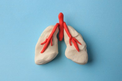Photo of Human lungs made of plasticine on light blue background, top view