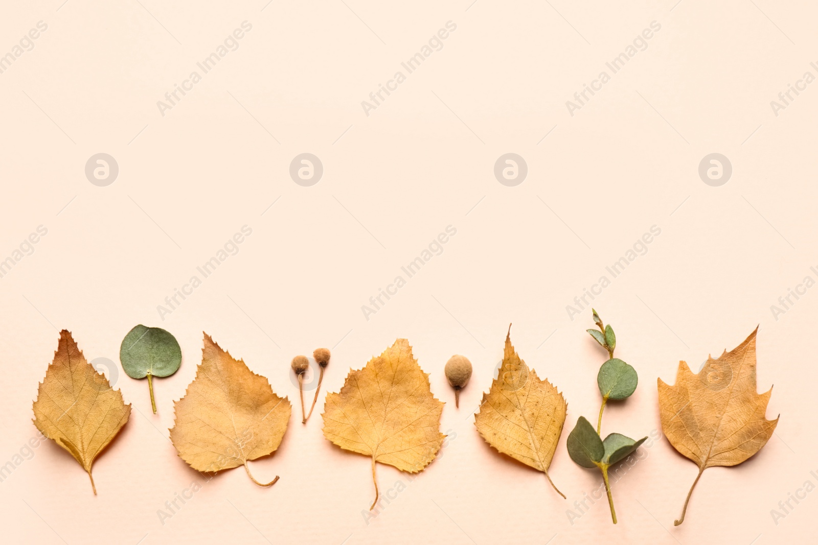 Photo of Flat lay composition with autumn leaves on light background, space for text