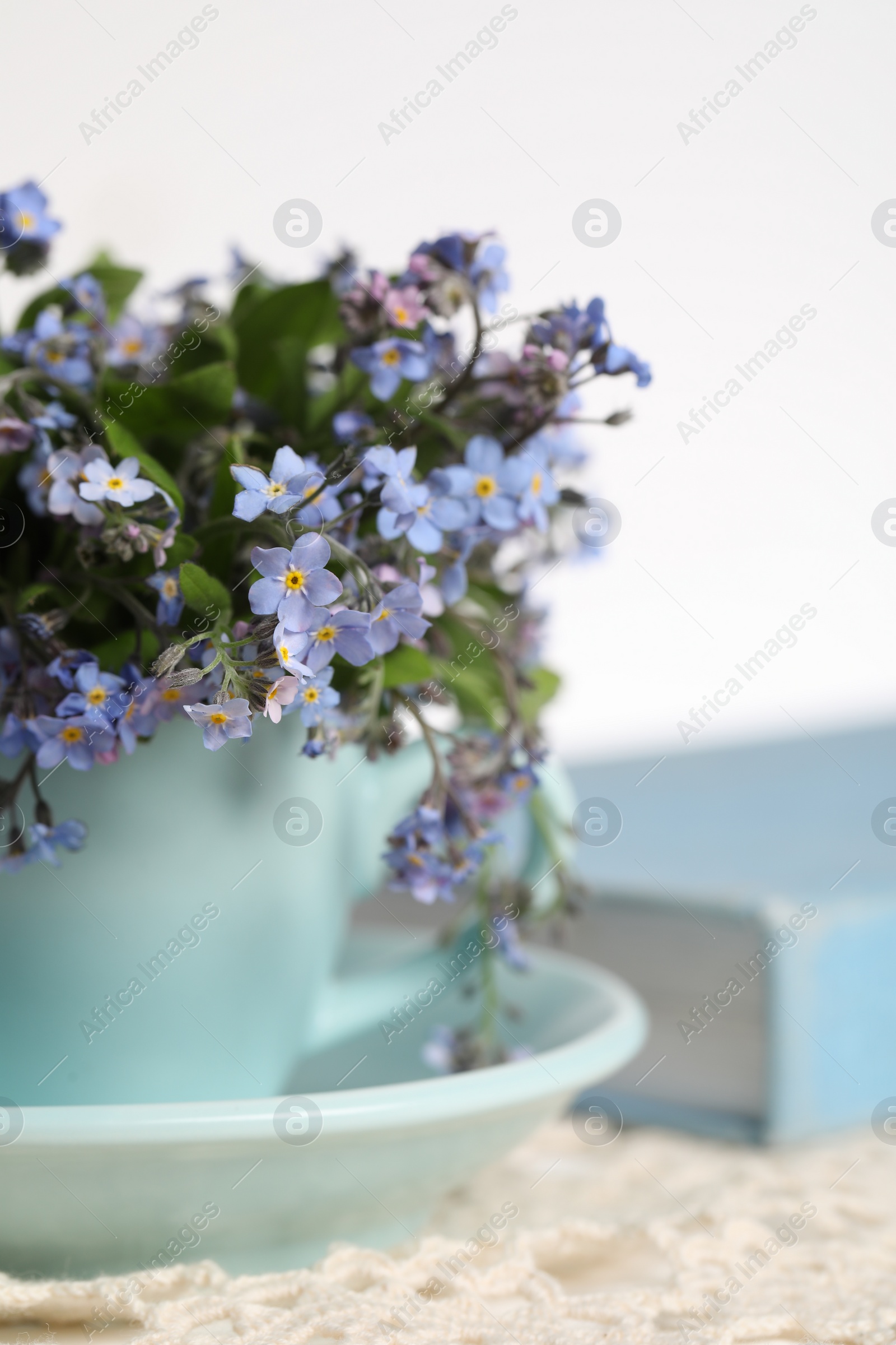 Photo of Beautiful forget-me-not flowers in cup, book and crochet tablecloth on table against white background, closeup