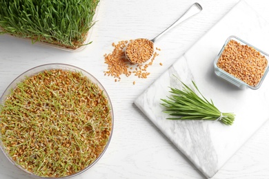 Flat lay composition with growing wheat grass on table