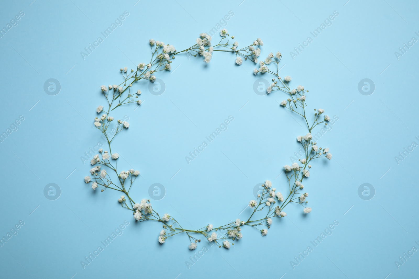 Photo of Frame made of beautiful gypsophila on light blue background, flat lay with space for text. Floral composition