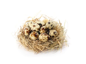 Nest with quail eggs isolated on white