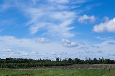Photo of Beautiful view on blue sky with white clouds above green field