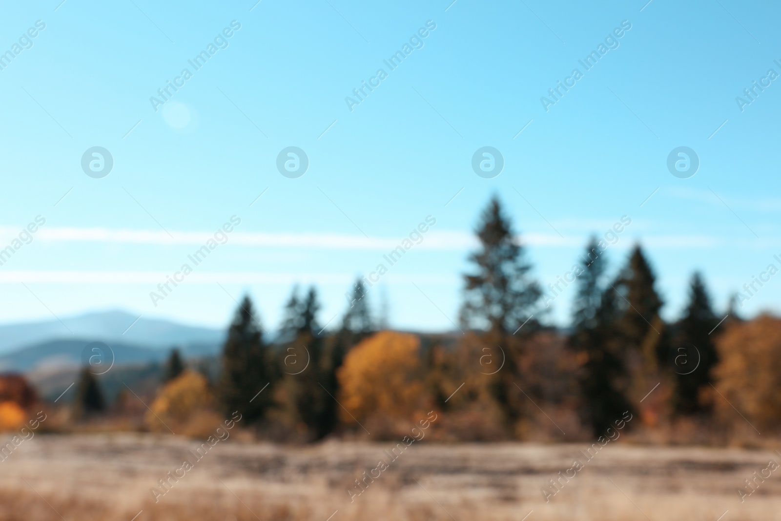 Photo of Picturesque landscape with beautiful forest and mountains, blurred view