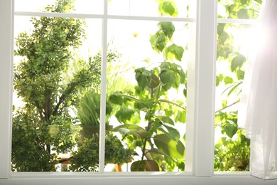 Photo of Beautiful view through window on garden in morning