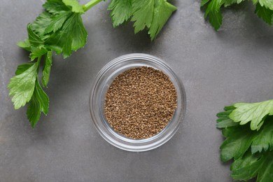 Photo of Bowl of celery seeds and fresh plant on grey table, flat lay