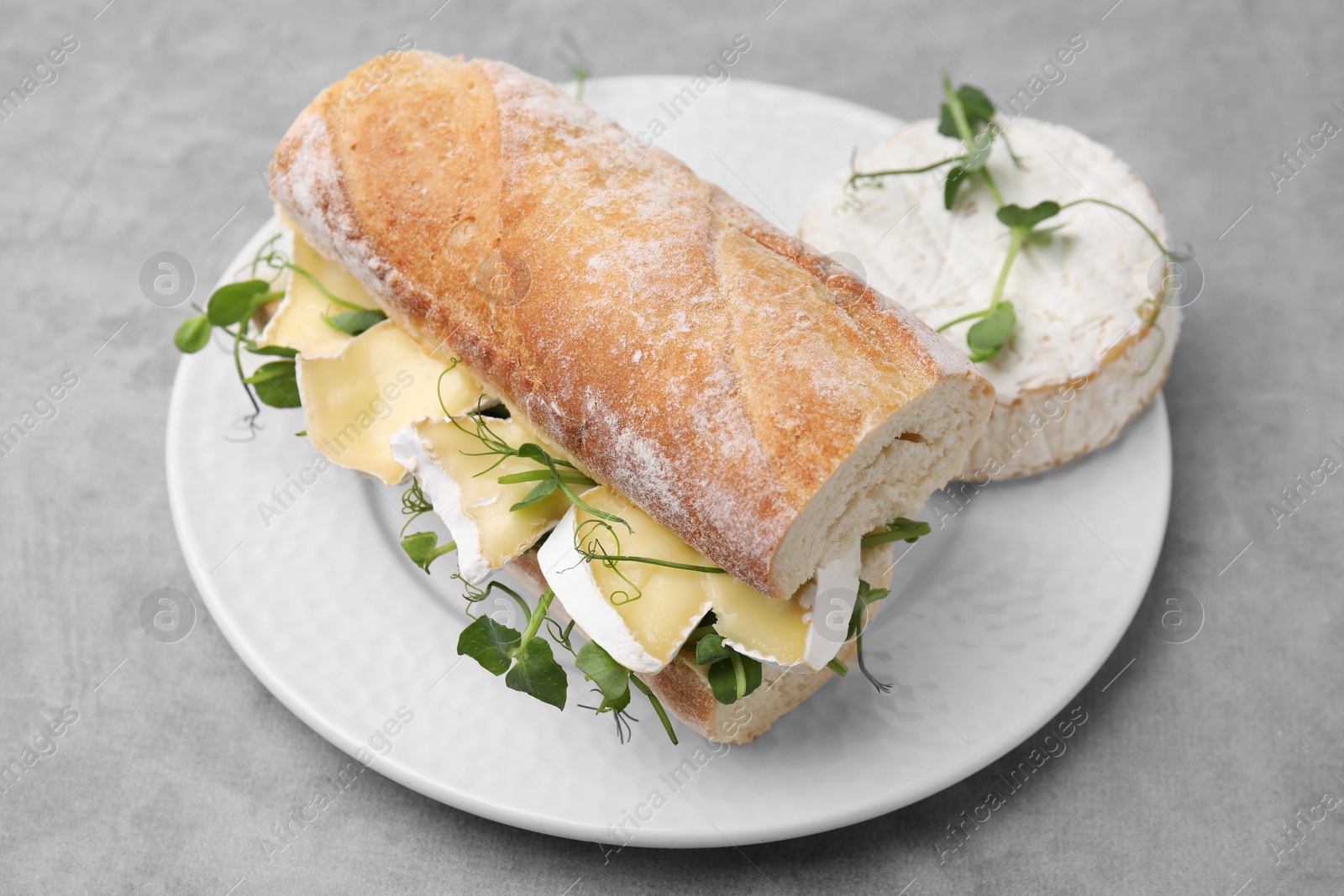 Photo of Tasty sandwich with brie cheese on light grey table, closeup