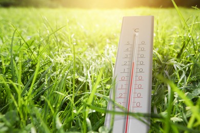 Thermometer in green grass outdoors. Temperature in spring