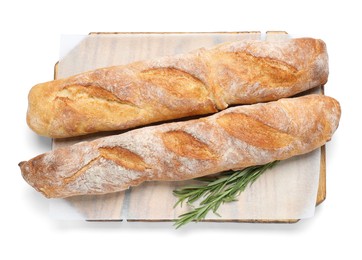 Photo of Crispy French baguettes with rosemary on white background, top view. Fresh bread