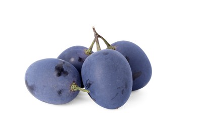 Delicious ripe dark blue grapes isolated on white