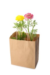 Photo of Beautiful ranunculus flowers in paper bag on white background