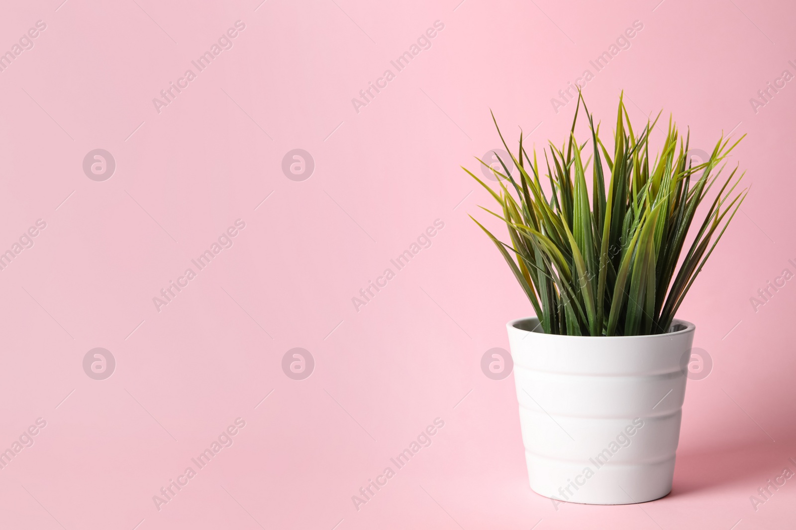 Photo of Beautiful artificial plant in flower pot on pink background, space for text