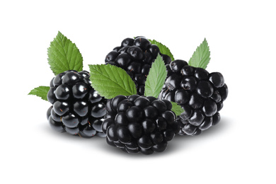 Fresh ripe blackberries with green leaves on white background