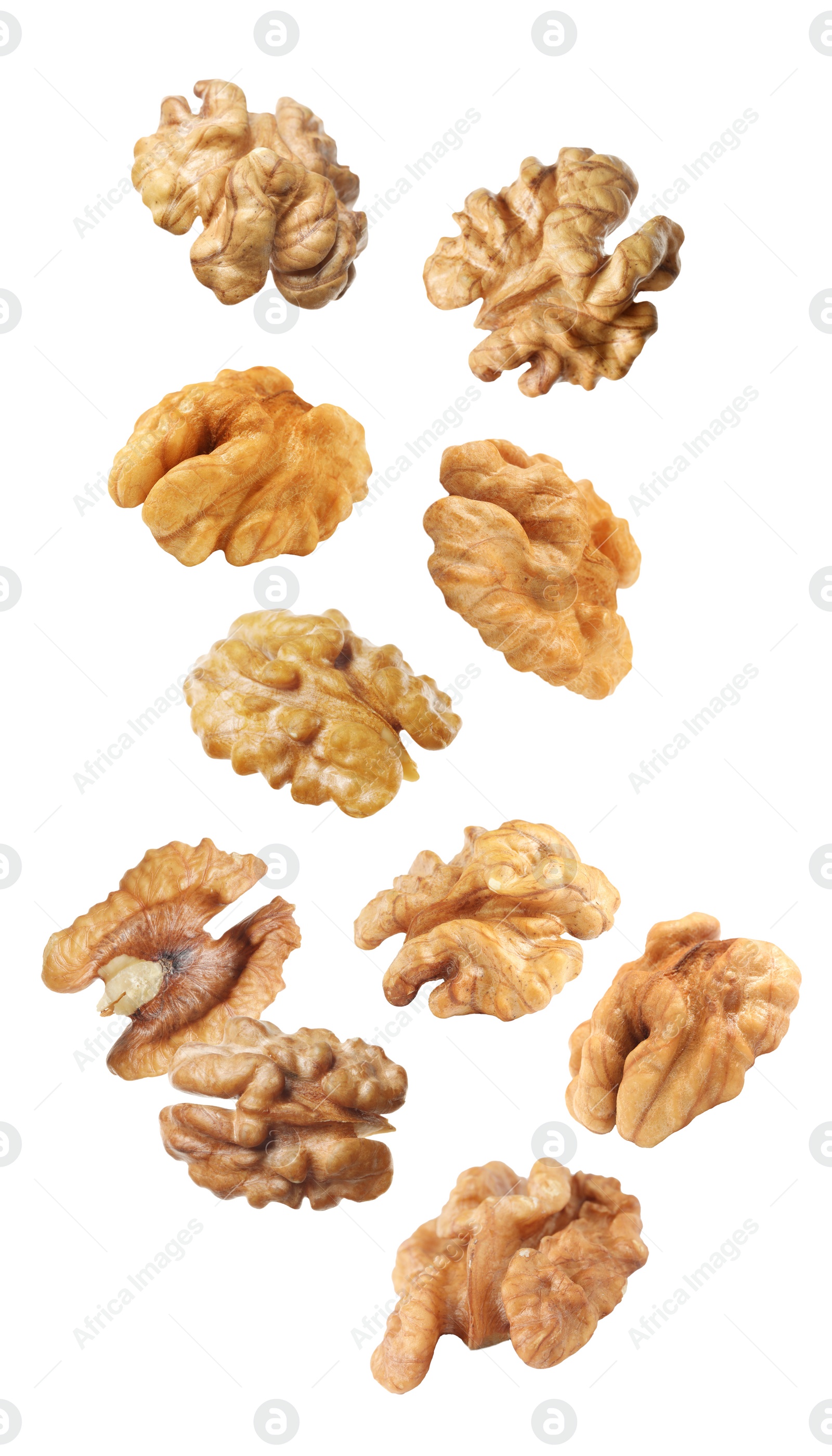 Image of Halves of walnuts falling on white background 