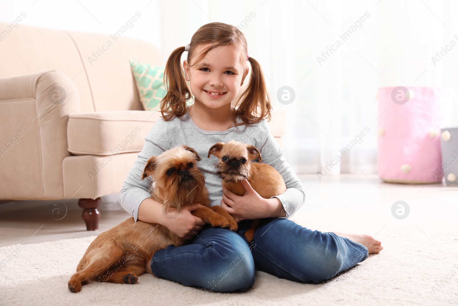 Photo of Portrait of cute girl with funny Brussels Griffon dogs at home. Loyal friends
