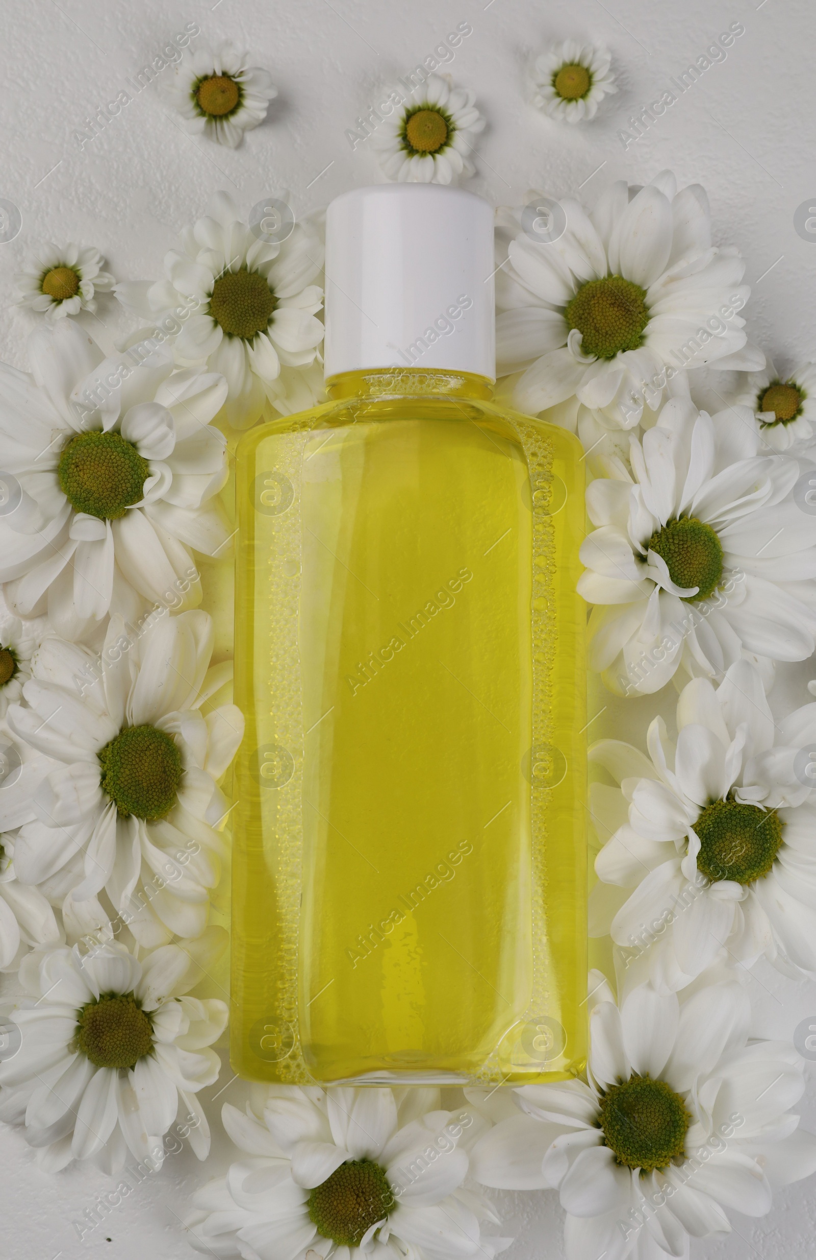 Photo of Fresh mouthwash in bottle surrounded by chamomiles on white background, top view