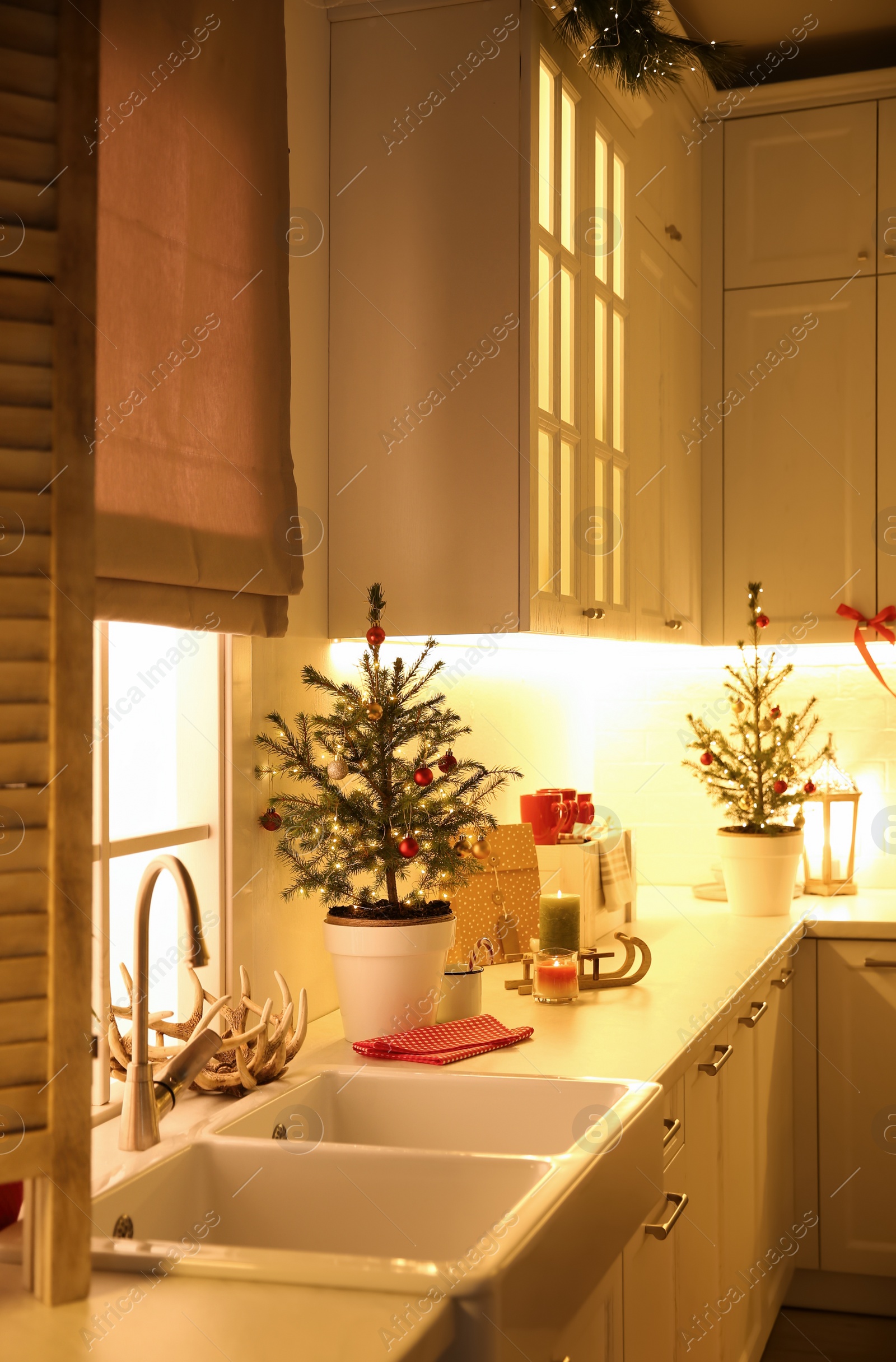 Photo of Small Christmas trees and festive decor in kitchen