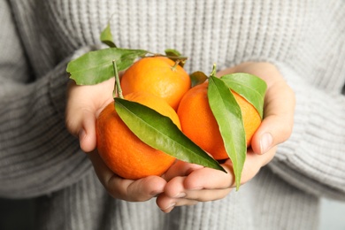 Photo of Woman holding ripe tangerines, closeup. Citrus fruit