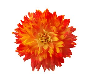 Image of Beautiful orange dahlia flower isolated on white