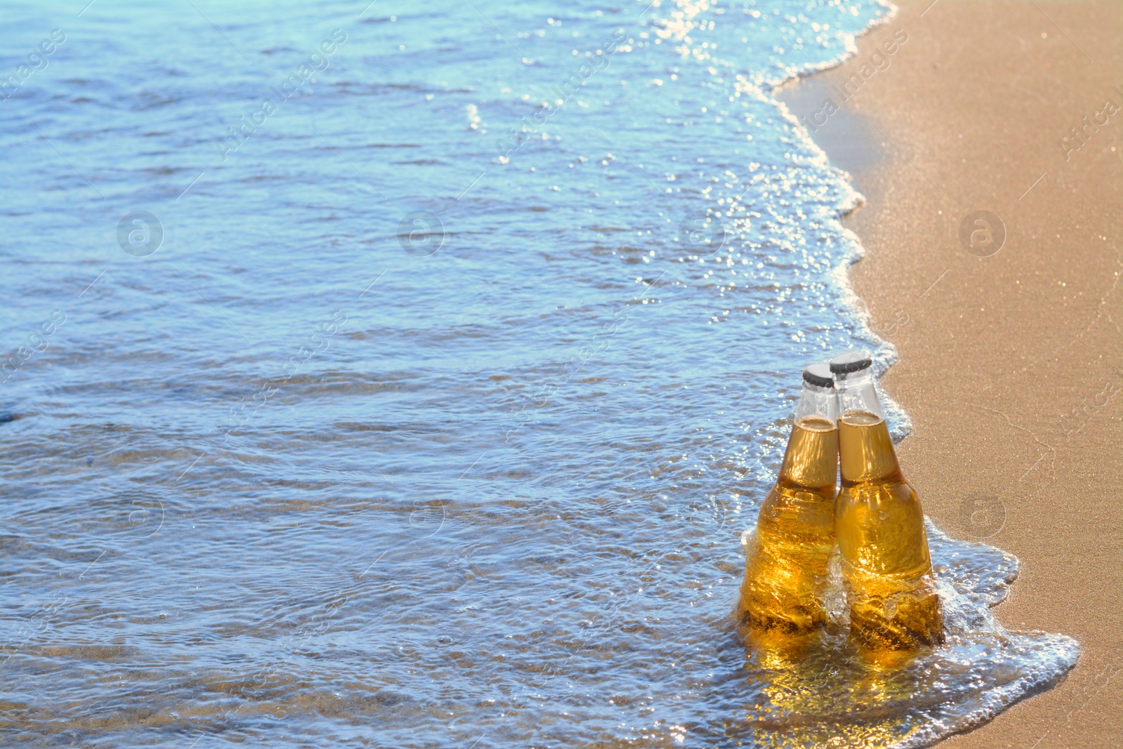 Photo of Bottles of cold beer in sea water, space for text