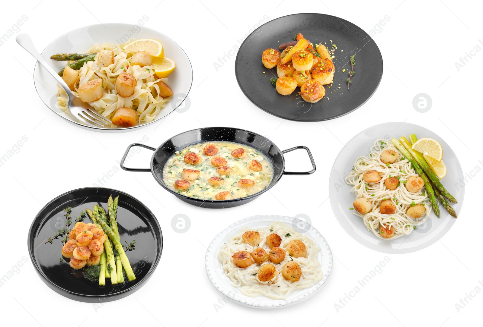 Image of Set of different dishes with scallops isolated on white