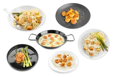 Image of Set of different dishes with scallops isolated on white