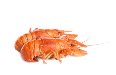 Photo of Delicious red boiled crayfishes isolated on white