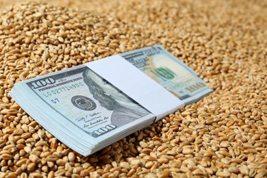 Photo of Wheat grains with dollar banknotes, closeup. Global food crisis concept