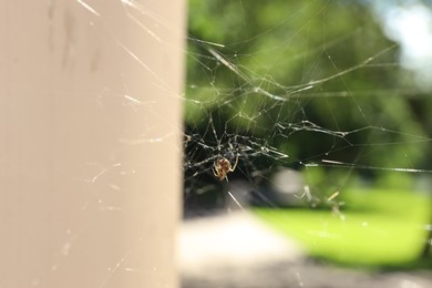 Photo of Cobweb and spider on building outdoors, closeup