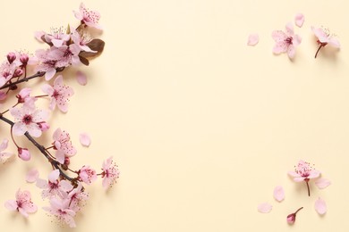 Photo of Sakura tree branch with beautiful pink blossoms on beige background, flat lay. Space for text