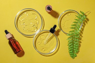 Flat lay composition with Petri dishes on yellow background