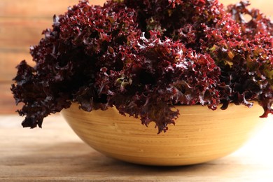 Bowl with fresh red coral lettuce on table, closeup