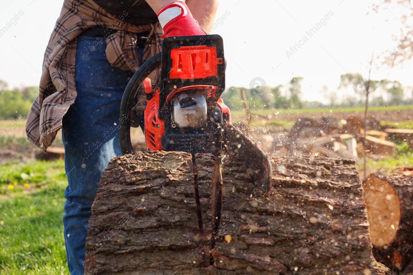 Photo of Man sawing wooden log outdoors, closeup view