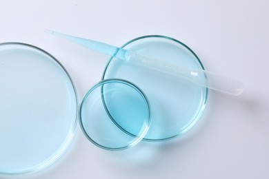 Transfer pipette and petri dishes on white table, flat lay