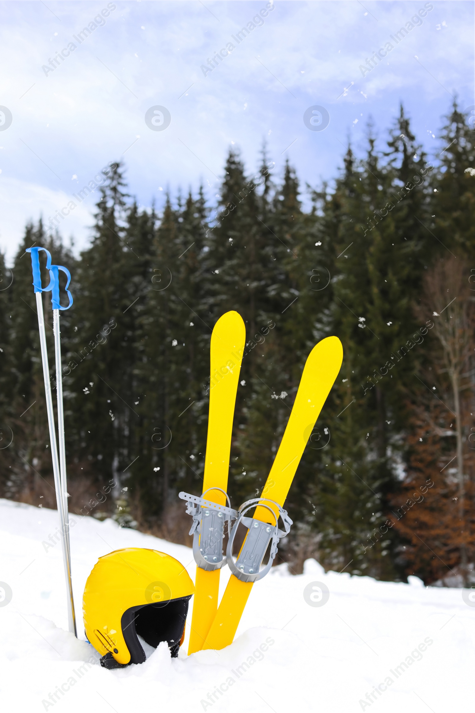 Photo of Ski equipment in snow outdoors. Winter vacation