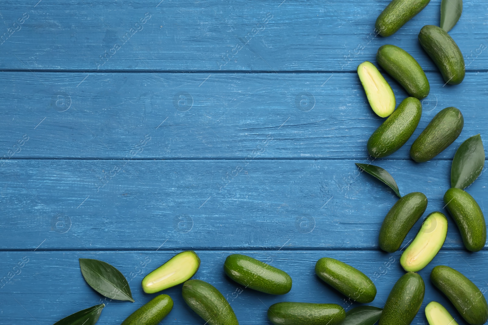 Photo of Fresh seedless avocados with green leaves on blue wooden table, flat lay. Space for text