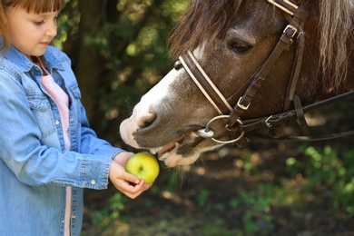 Photo of Cute little girl feeding her pony in green park, closeup