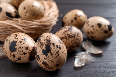 Photo of Quail eggs and feathers near nest on wooden table, closeup