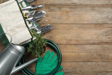 Flat lay composition with gardening tools and green plant on wooden background, space for text