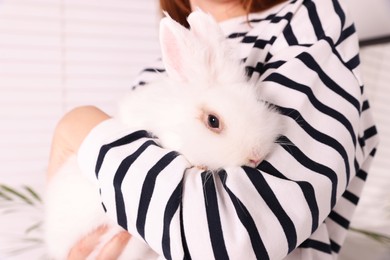 Photo of Woman with fluffy white rabbit indoors, closeup. Cute pet