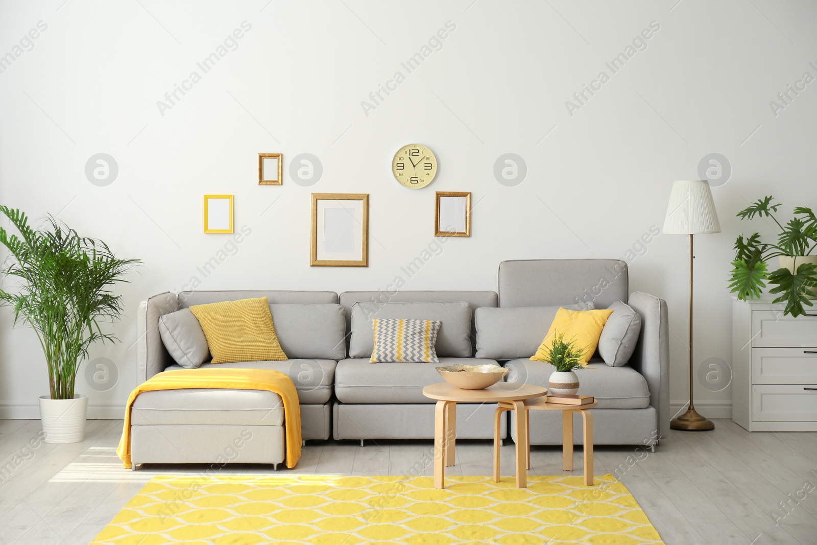 Photo of Stylish living room interior with comfortable grey couch