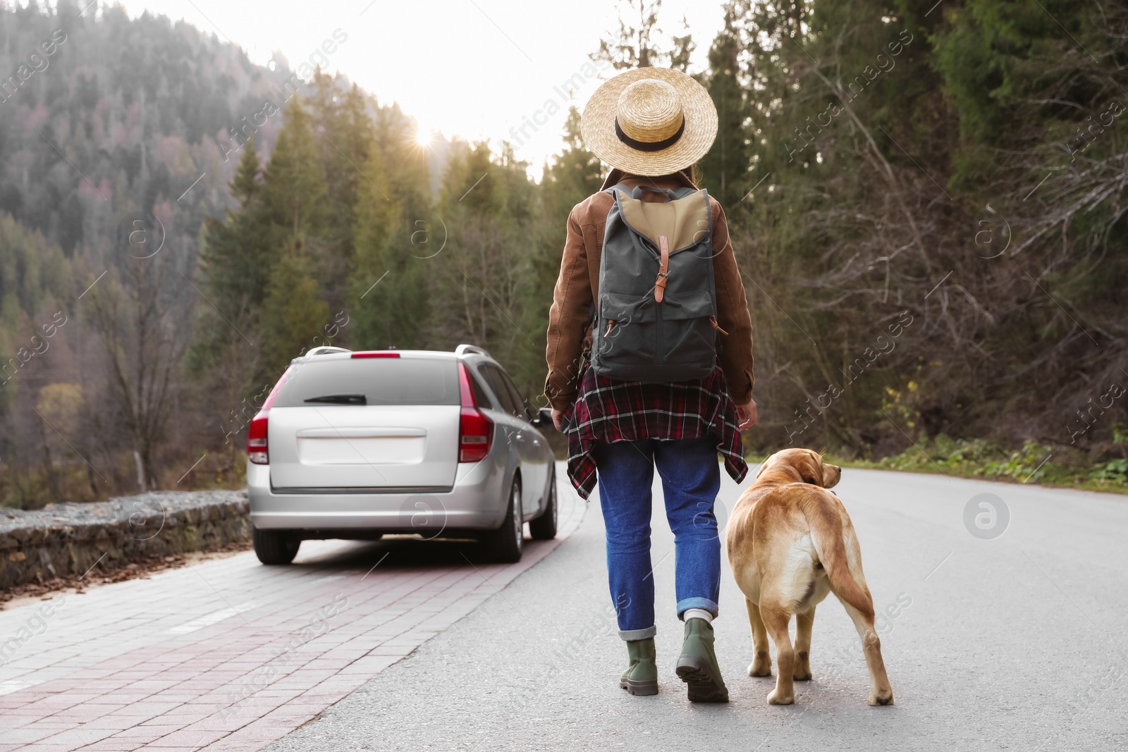 Photo of Woman and adorable dog walking along road, back view. Traveling with pet