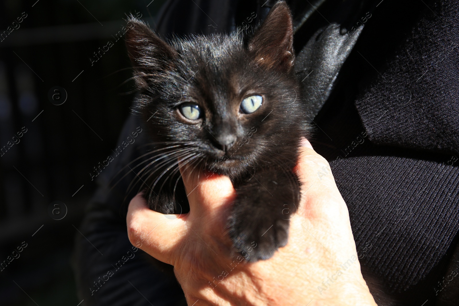 Photo of Woman with stray cat outdoors, closeup. Homeless animal