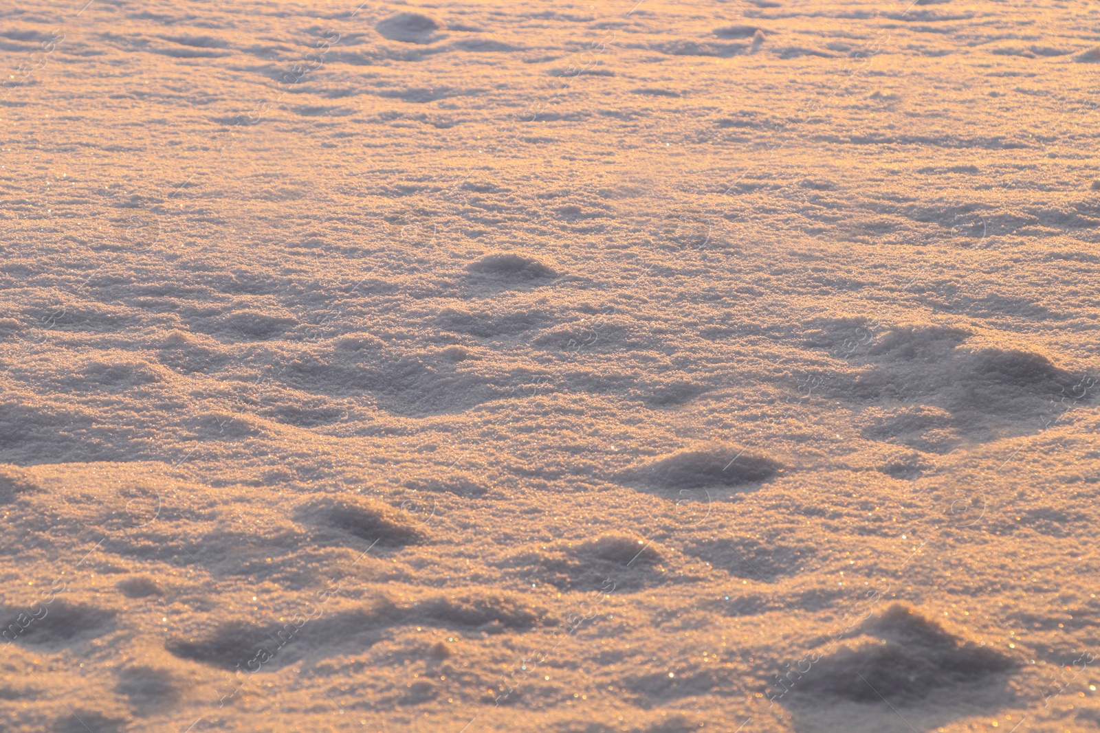 Photo of Beautiful snow as background, closeup view. Winter weather