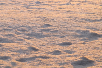 Beautiful snow as background, closeup view. Winter weather