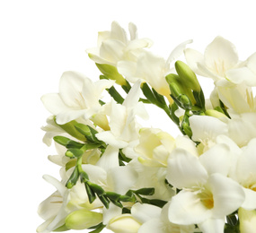 Beautiful freesia flowers on white background, closeup